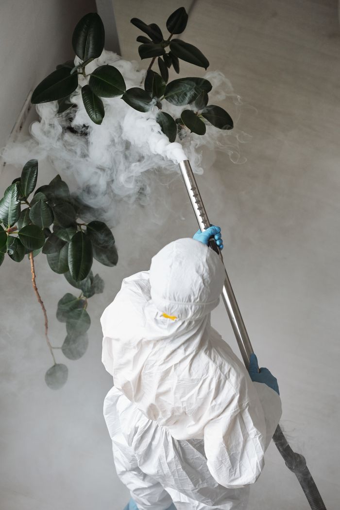 about-us A person in protective gear uses a sprayer for indoor disinfection.